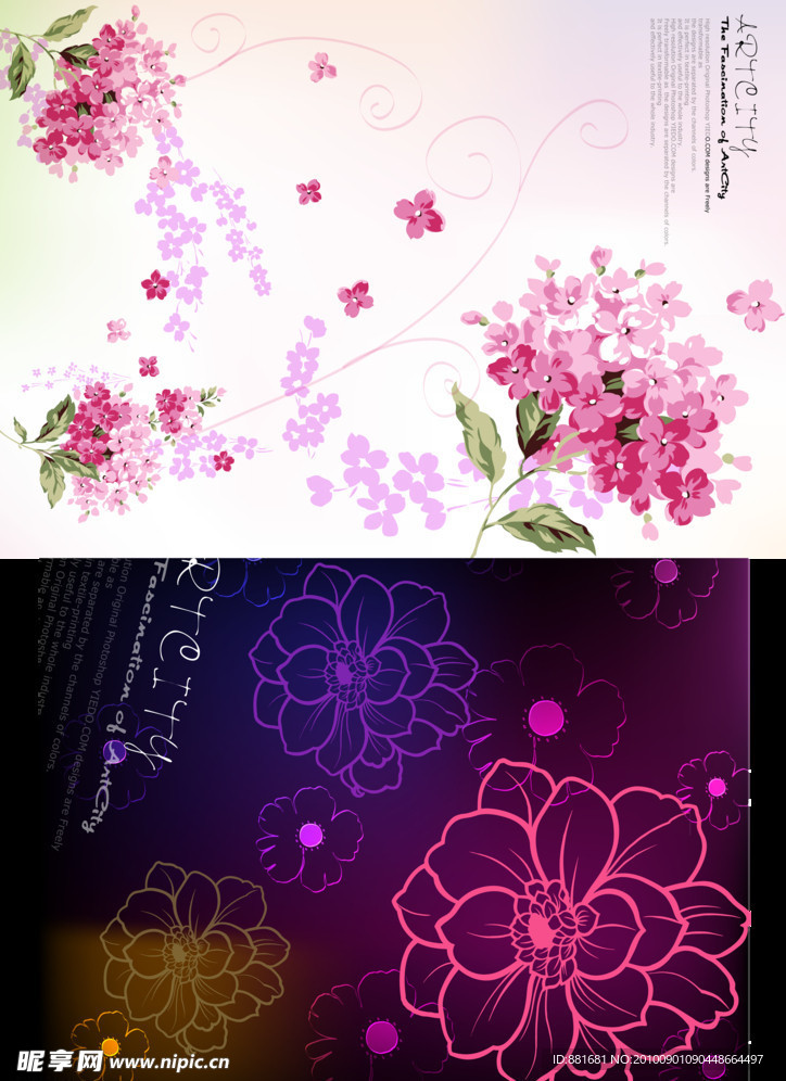 花图片素材