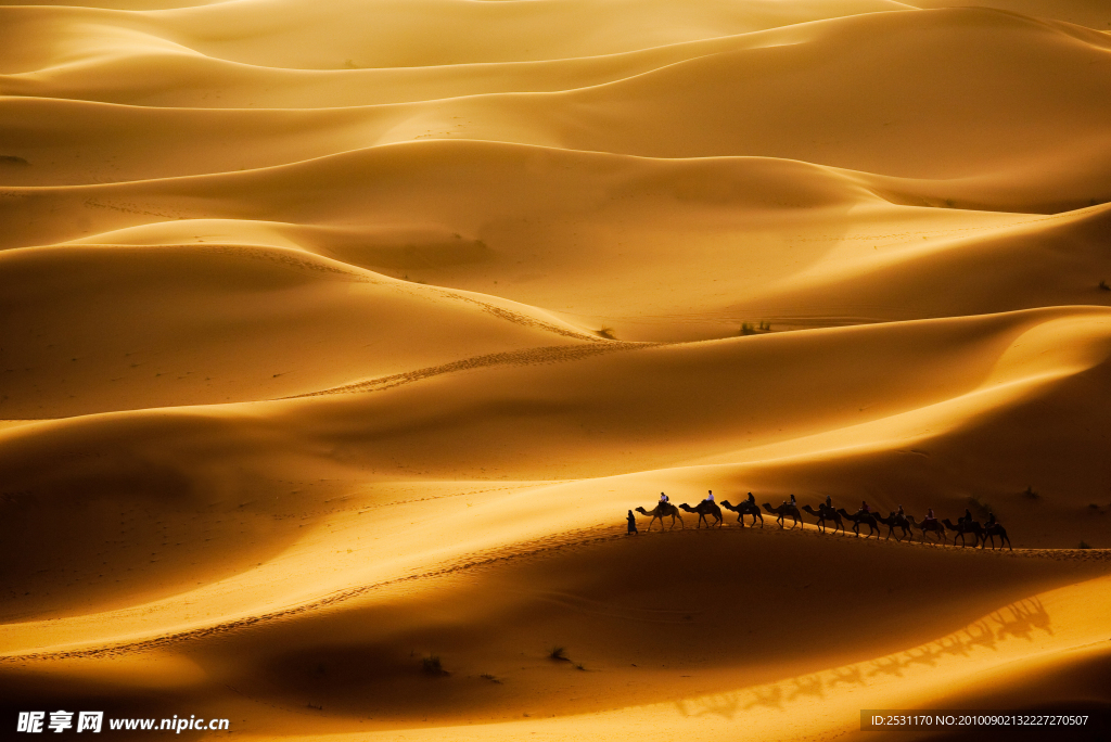 金色沙漠高清图片