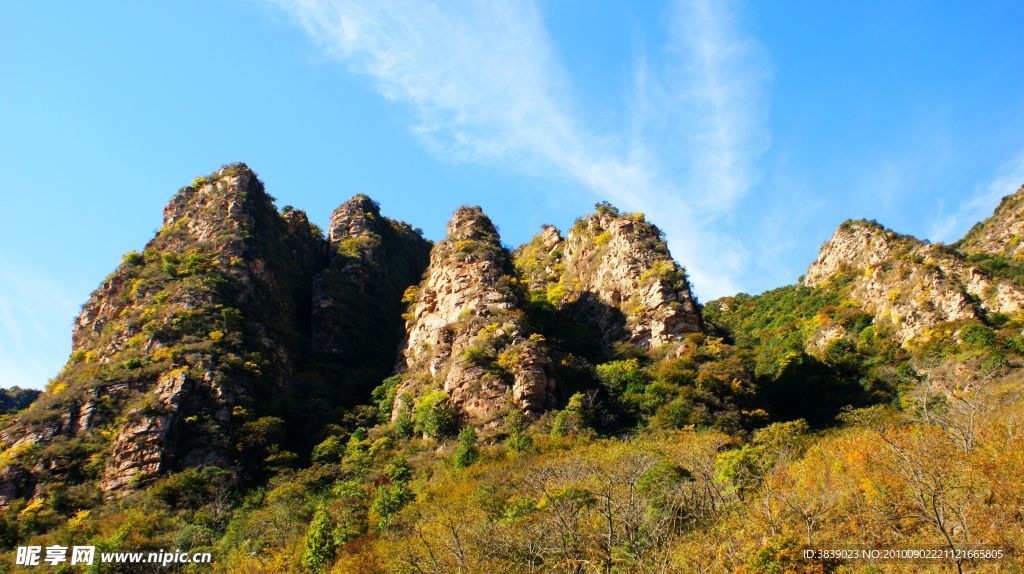 梨木台五指山