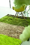 家居地毯