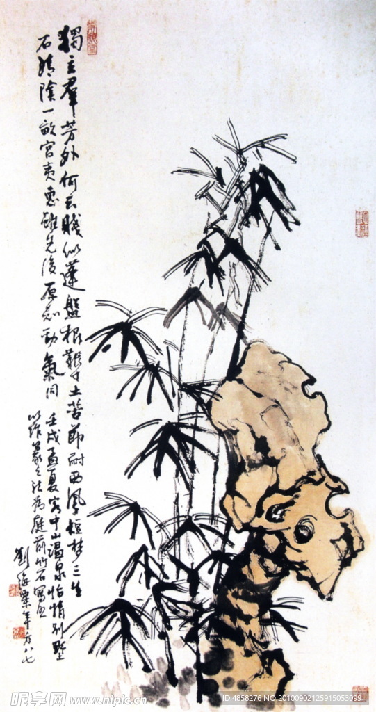 竹石图