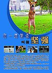 有一种信念叫做坚强