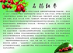 红枣
