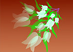 鲜花