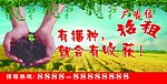 有播才有收获