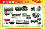 丰富多彩的校园