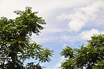 高清晰照片石林峡风景