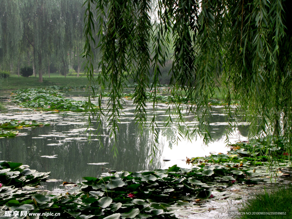 水景湖畔