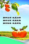 校园文化
