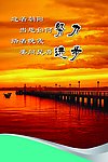 校园文化（分层不精细）