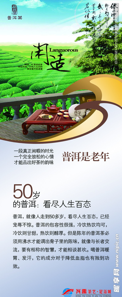 茶简介
