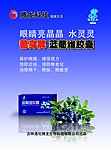 蓝莓彩页正面
