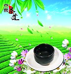 茶道
