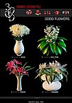 3ddd_Flowers 盆栽花卉max模型1一4