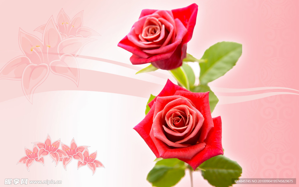 鲜花