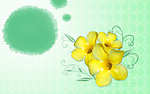 鲜花