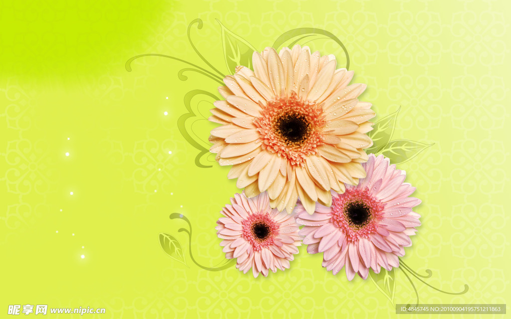 鲜花