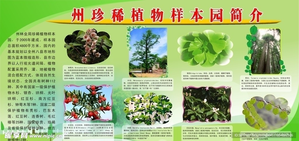 珍稀植物样本园简介