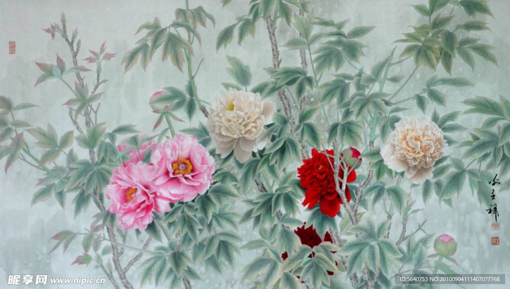 富贵牡丹