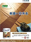 德龙漆