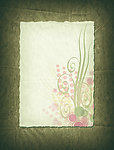撕裂的纸 花纹 绿色牛皮纸