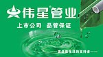 伟星