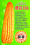 佳尔336