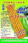 秋乐958