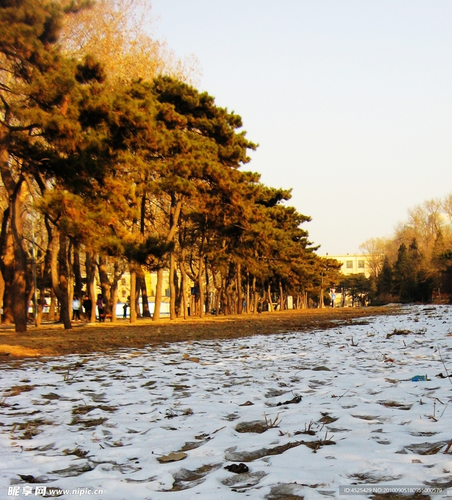 雪景