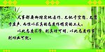 竹风采