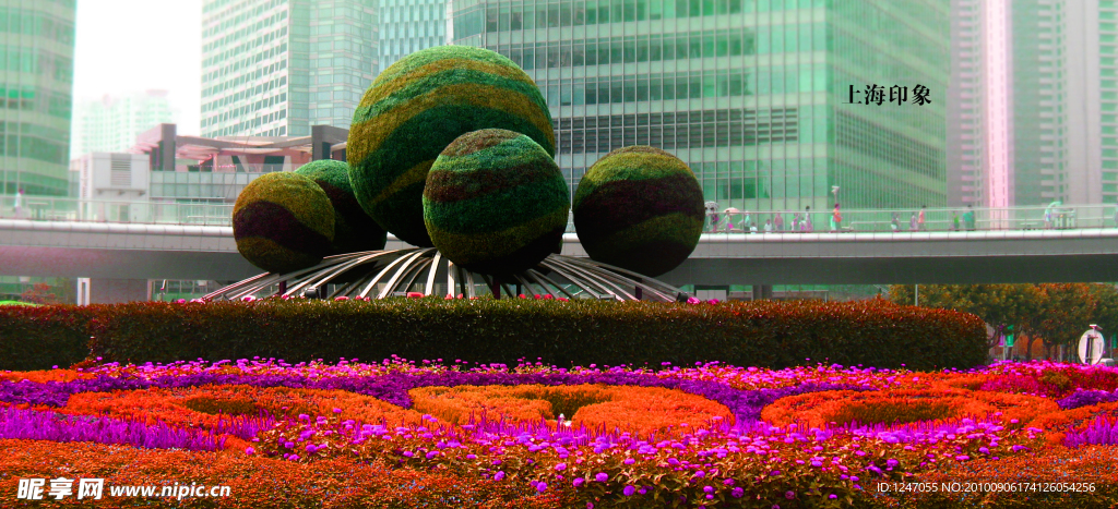 花坛