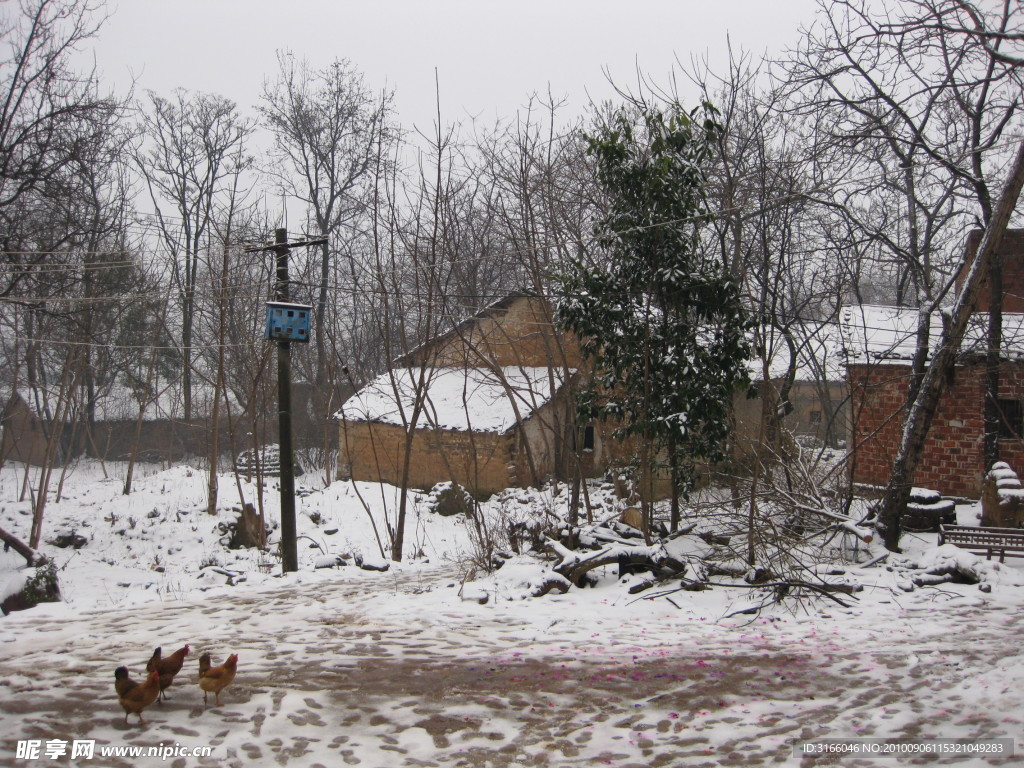 下雪的乡村