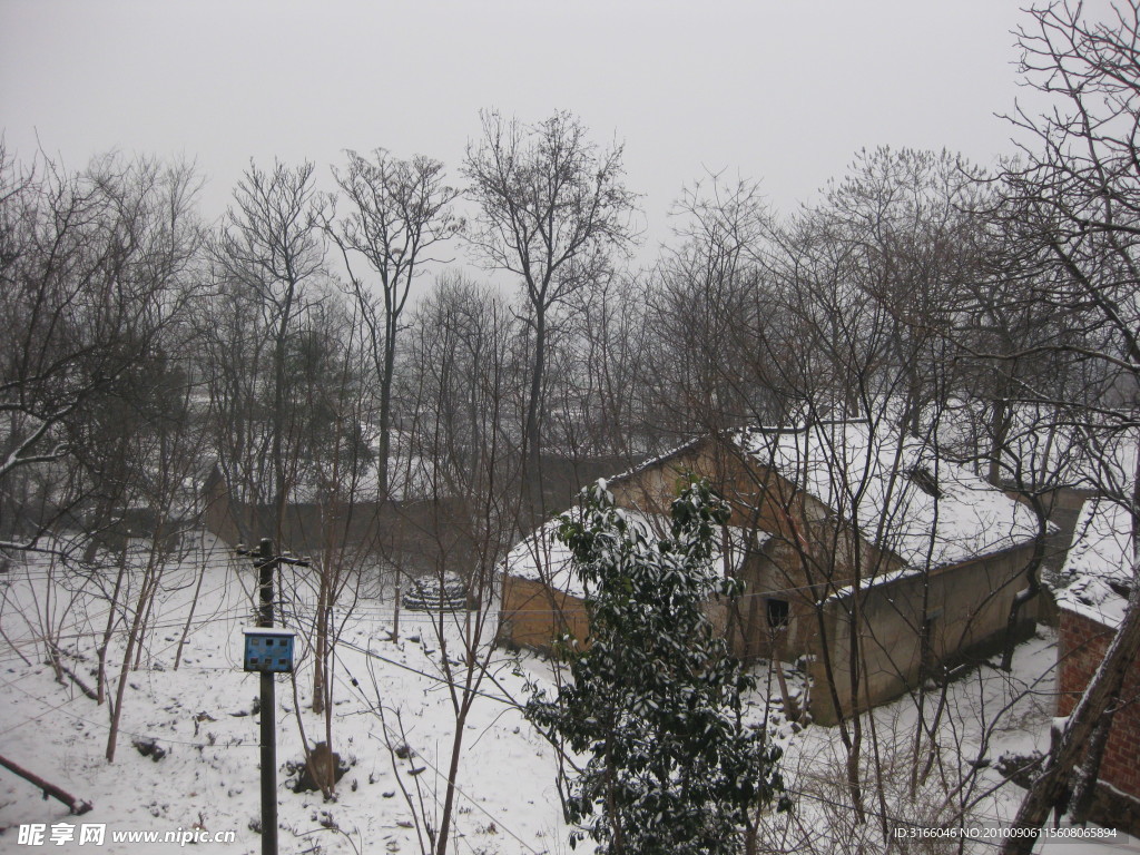 大雪过后的乡村风景