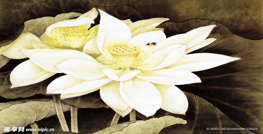 无框画 荷花