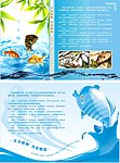 鱼区墙面 鱼的功效