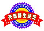 商标 标题 包装设计