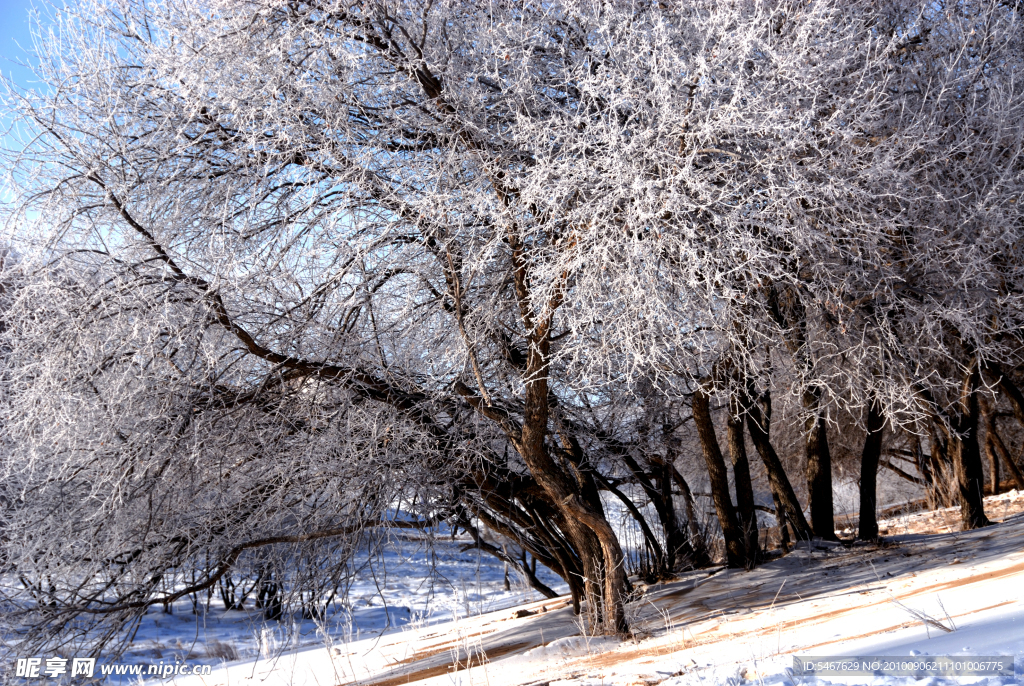 雪景