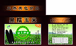 黑糯玉米