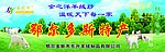 广告纸