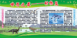 校园展板