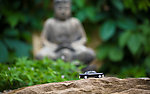 通往佛祖之路 The Road to Buddha