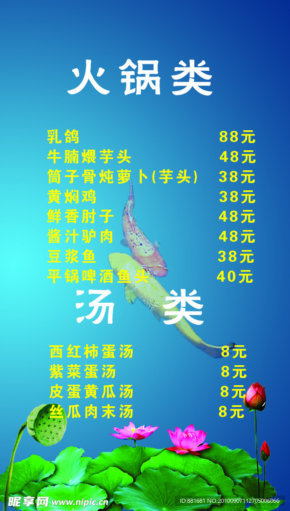 莲花 花 展板 荷花