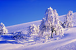山坡上的雪景