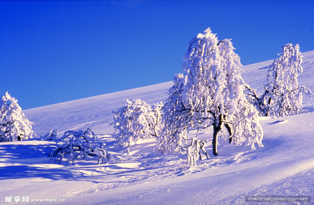 山坡上的雪景