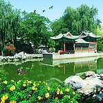 风景