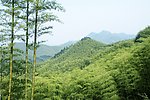 中国大竹海