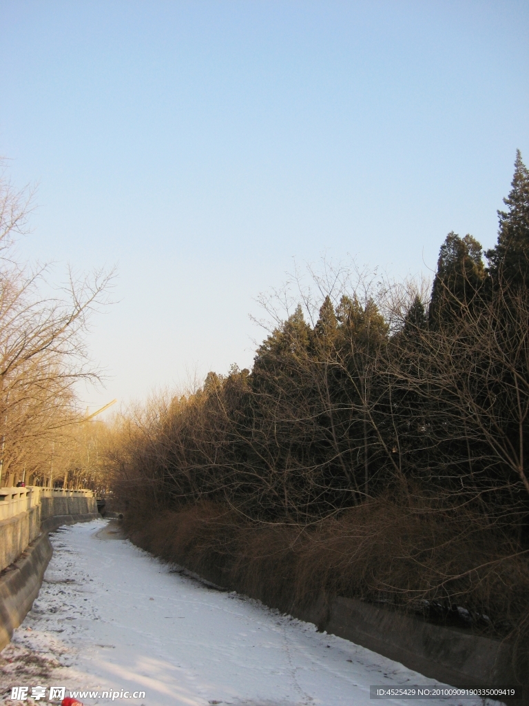 雪景