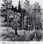 山间小路