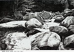 秦岭