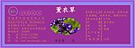 薰衣草